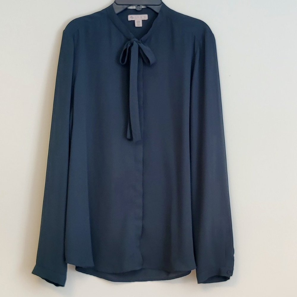 Classy Chiffon Blouse